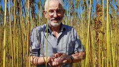 Landwirt Norbert Eilenbecker ist zufrieden mit dem Reifegrad der Haferkörner (Foto: SR)