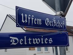 Die Straßenschilder "Uffem Geißehof" und "Deltwies" (Foto: SR/Corinna Kern)