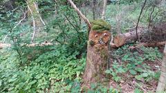 Ein hangemachter Waldgeist am Mammutbaum (Foto: SR / René Henkgen)