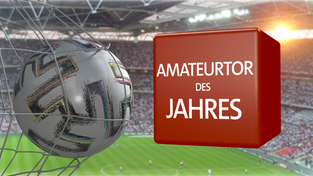 Ein Fußball in einem Tor und das Logo fürs Amateurtor des Jahres (Foto: SR)
