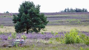 Unterwegs in der Mehlinger Heide (Foto: Borijan Radojevic)