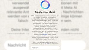 Screenshot 'Meta AI' in WhatsApp (Foto: SR 1)