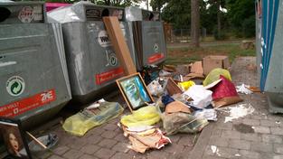 Müllcontainer (Foto: SR)