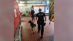Polizeihund Roki nach dem Training (Foto: SR/Christoph Borgans)