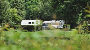 Der Campingplatz Nied in Rehlingen-Siersburg ist nach dem Hochwasser wieder gut besucht. (Foto: SR)