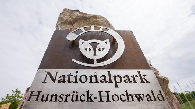 Logo des Nationalparks Hunsrück-Hochwald (Foto: imago/Sascha Ditscher)