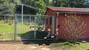 Neue Voliere für die Kraniche im Zoo Saarbrücken (Foto: SR/ Frank Falkenauer)