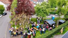 Maibaumstellen in Neuweiler (Foto: Neuweiler Siedlergemeinschaft)