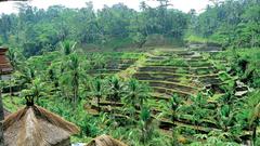 Bali-Reise (Foto: FTI Touristik AG)