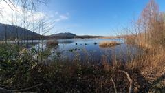 Der Ökosee in Dillingen (Foto: Christiane Müller)