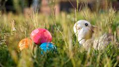 Ostereier und -hase im Garten (Foto: Sebastian Knöbber)