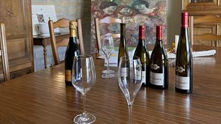 Weine vom Weingut Petgen-Dahm (Foto: SR/Mahir Moser)