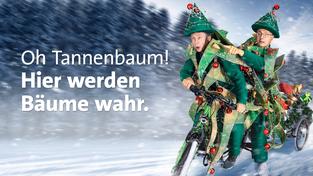 Plakat "Oh Tannenbaum" 2023 (Foto: SR)