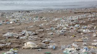 Plastikmüll am Strand (Foto: pixabay / hhach)