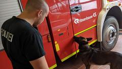 Polizeihund Roki beim Training (Foto: SR/Christoph Borgans)