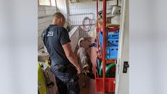 Polizeihund Roki beim Suchtraining (Foto: SR/Christoph Borgans)