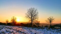 Schneereste im Licht der Morgensonne in Primstal (Foto: Günter Gebel)