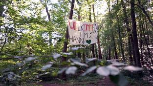 Banner im Saarbrücker Stadtwald „Hanni“ (Foto: SR)