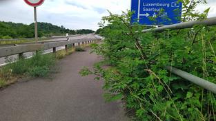 Nicht gepflegter Streifen zwischen Bous und Schwalbach-Elm (Foto: Helmut Dörr)