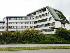 Das Rathaus in Homburg (Foto: Pasquale D'Angiolillo/SR)