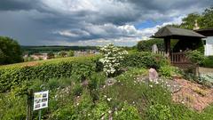 Der Ausblick vom Rosengarten in Welschbach (Foto: SR/Corinna Kern)