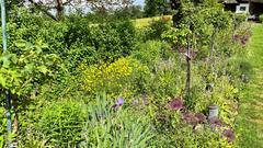 Rosen und andere Blumen im Rosengarten in Welschbach (Foto: SR/Corinna Kern)