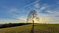 Auf dem Morgenstern Elm (Foto: Willi Schäfer)