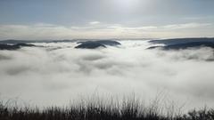 Blick von der Cloef auf die Saarschleife im aufsteigenden Nebel (Foto: Mara Schnubel)