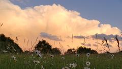 Nach Abzug einer Gewitterfront, Sonnenlicht färbt die Quellwolken, Primsthal (Foto: Günter Gebel)