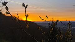 Sonnenaufgang auf dem Hellerberg in Freisen  (Foto: Thorsten Müller)