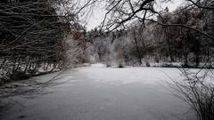 Karlsbergweiher  (Foto: Karin Gottfreund-Müller)