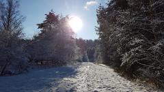 Schneelandschaft bei Kirrberg (Foto: Marlies Luckscheider)