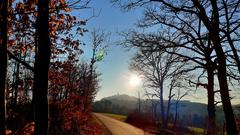 Die Märzsonne strahlt bei wolkenlosem Himmel über dem Schaumberg (Foto: Klaus Lermann)