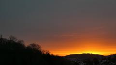 Morgenstimmung (Foto: Jürgen Bost)