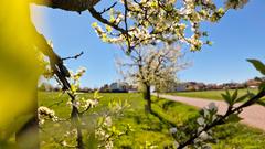 Osterspaziergang in Dörsdorf (Foto: Yannick Schaan)