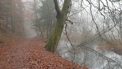 Das Wetter morgens in Reimsbach, neblig und kalt, aber auch mit Mystik (Foto: Sabine Simon)