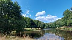 Sommerstimmung bei erträglichen Temperaturen am Schafweiher im Elstersteinpark  (Foto: Sonja Colling-Bost)