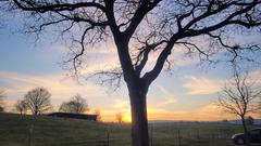 Sonnenuntergang bei Eppelborn (Foto: Sigrid Weber- Kooner)