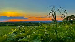 Sonnenaufgang  (Foto: Hermann Portz)