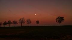 Sonnenuntergang mit Mond am Horizont zwischen Blieskastel und Biesingen  (Foto: Ludwig Schwarz)