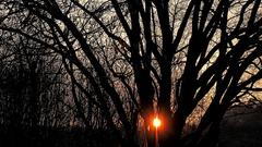 Sonnenuntergang in Hilbringen (Foto: Rainer Prüm)