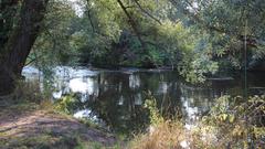Morgens an der Nied (Foto: Ulrike Blum)