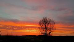Sonnenaufgang bei Bischmisheim mit Blick in Richtung Ensheim (Foto: Meike Ott)