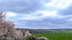 Blühende Frühlingslandschaft bei Friedrichsthal (Foto: Christine Philippi)