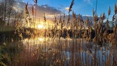 Die Sonne steht tief über dem See im Campus Nobel bei Saarwellingen (Foto: Christine Neu)