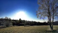 Eisige Wintersonne über dem Hochwald bei Wadern (Foto: Matthias Wagner)