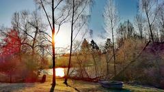 Eisige Wintersonne über dem Hochwald bei Wadern (Foto: Matthias Wagner)