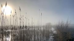 Nebel auf der Göttelborner Halde (Foto: Heiner Klein)