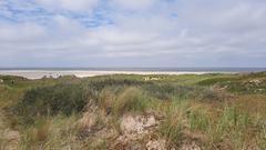 Sandstrand an der Westküste von Texel (Foto: Barbara Lindahl)