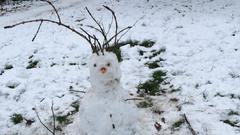 Schneemann auf dem Saarbrücker Rastpfuhl (Foto: SR/Ulli Wagner)